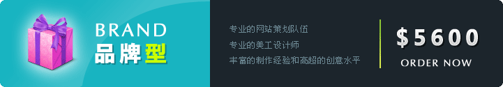 品牌型网站建设