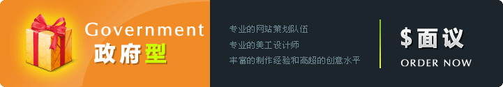 政府型网站建设