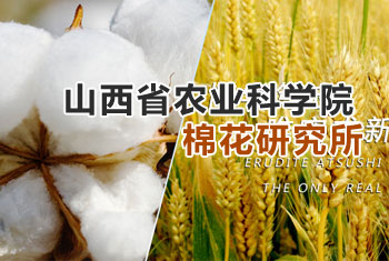 山西省农业科学院棉花研究所