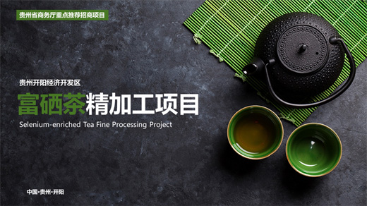 贵州开阳经济开发区PPT设计作品